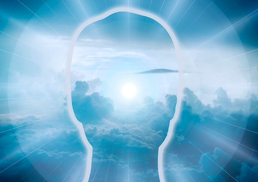 Holistico Blog